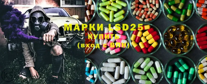 ссылка на мегу ССЫЛКА  Чебоксары  LSD-25 экстази ecstasy  купить наркотик 